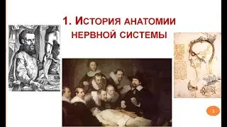 01 Анатомия ЦНС для психологов. История анатомии