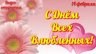 С ДНЕМ ВСЕХ ВЛЮБЛЕННЫХ Лучшее красивое поздравление Видео открытка 14 февраля