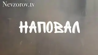 08.08.2021 г. Александр Невзоров. Передача Наповал. Выпуск 60