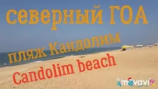 Как мы провели день на пляже Кандолим. Candolim beach