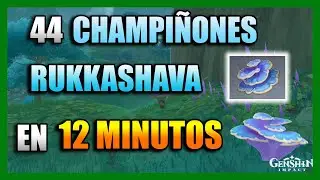 DONDE ENCONTRAR CHAMPIÑÓN RUKKASHAVA - UBICACIÓN | SUMERU - RUTA FARMEO | GENSHIN IMPACT