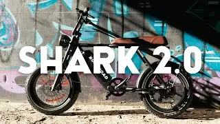 Roll Road Shark 2.0