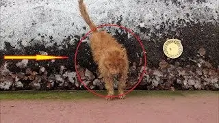 Это был самый обычный и скучный день, пока мужчина не выглянул в окно — там его ждал настоящий ужас