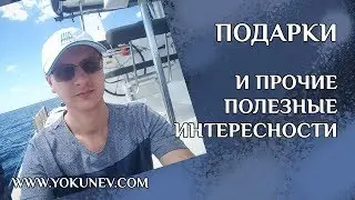 Как получить рейтинг 18+ за 2 слова, зачем хорошо работать и подарки