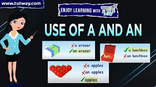 Use of A and An | Learn Articles “A & An” | Articles Concepts and Examples | English Grammar