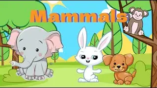 What Makes a Mammal? 🐻🐘 | Discover Mammal Characteristics