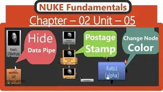 Nuke Fundamentals : Customizing the Node Display | Nuke tutorials in tutorial |