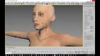 3ds Max Cat Objects  Catrig 02