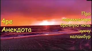 Анекдоты про (Стёпу, Брачную ночь, чукчу, каламбур) 4шт.короткие(ЮМОР-2021)