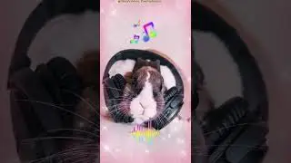Добрейшего утра ❤ Прекрасного дня 👍 Отличного настроения 🎶 Музыкальная открытка