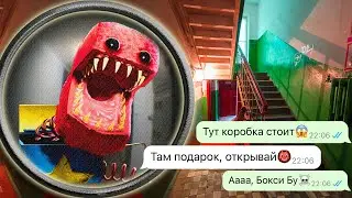 Бокси Бу бродит по моему дому