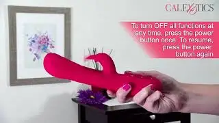 Throb Pulse Rabbit