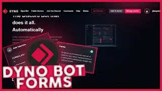 Dyno Bot | Crea tus Formularios Con El Mejor Bot ¡Actualmente! - 2023 🔨