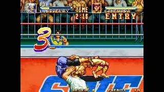 Game Over: 3 Count Bout (Neo Geo)