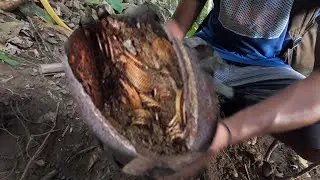 I FOUND BRONZE JAR FULL OF ANCIENT COINS