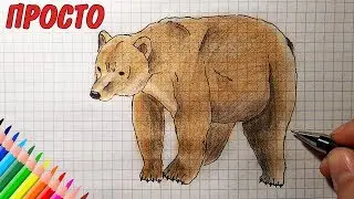 How to draw a BEAR / 1080r / Drawings for children