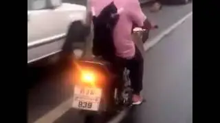 Как кот ехал на мотоцикле.