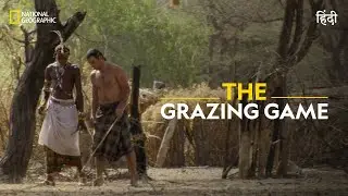 The Grazing Game | Primal Survivor | हिन्दी | Full Episode | S1 - E4 | National Geographic