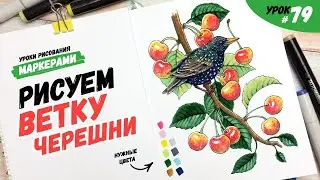 Как нарисовать черешню и скворца на ней? / Видео-урок по рисованию маркерами для новичков #79
