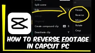 Reverse Video or Clip in CapCut PC Tutorial