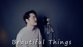 Benson Boone - Beautiful Things (cover by Bsco)