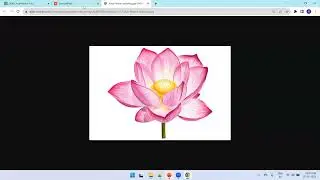 Oracle APEX - Manage Static Files - Refer Using HTML and Embed Option- 