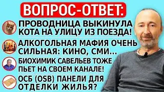 Защитники проводницы, которая выкинул кота из поезда на мороз! Мясо губит разум. Алкогольная мафия!