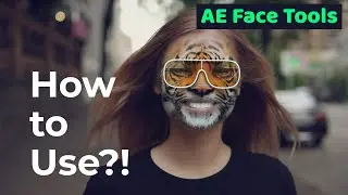 AE Face Tools - How to Use