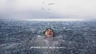 Shawn Mendes - Wonder ( SURF MESA REMIX )