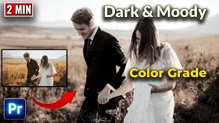 How To Make DARK And MOODY Color Grade In Premiere Pro | Easy Way