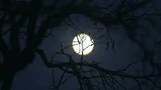 Moon | Free stock footage | Free HD Videos - No Copyright
