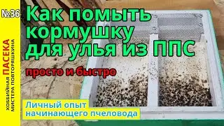 How to wash a beehive feeder from PPP. From the personal experience of a novice beekeeper.