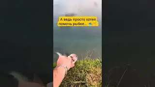 Решил помочь бедной рыбе! 😁