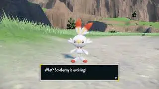 Pokemon Scarlet Scorbunny Evolves into Raboot