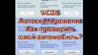 Как проверить Volkswagen в VCDS (Вася Диагност). Часть 1