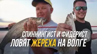 ЖЕРЕХ НА ТЕЙЛ-СПИННЕР / Юра Лисовский и Олег Ажар попали на супер клёв!