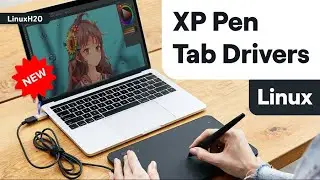 Setting up XP Pen Tab on Linux  (Drivers & Configuration)