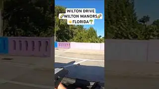 WILTON DRIVE, WILTON MANORS FLORIDA! #wiltonmanors #wiltondrive #wilton #manors #florida #soflo