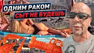 Внимание! Блэкаут в Сочи. Как выживаем с пенным и раками. Адлер 2022