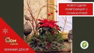 Новогодняя композиция с пуансетией//Мастер-класс по новогоднему  декору