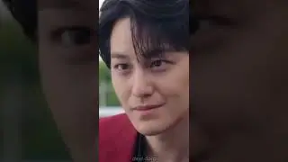 Любимая парочка лис🥰 
