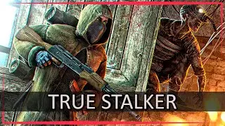 TRUE STALKER -  ⚡️  КВЕСТЫ НА ЯНТАРЕ И ТАЙНЫ ЛАБОРАТОРИИ Х-16 ⚡️