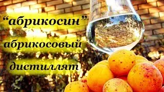 Apricot - Apricot moonshine on bones
