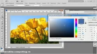 3 урок. 2 группа инструментов + форматы изображений в Photoshop