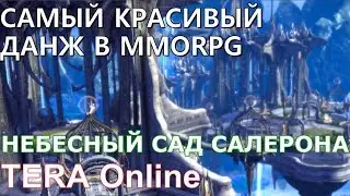 Самый Красивый Данж в ММОРПГ: НЕБЕСНЫЙ САД САЛЕРОНА