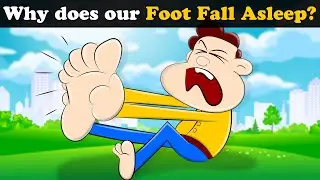 Why does our Foot Fall Asleep? + more videos | #aumsum #kids #science #education #whatif