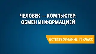 Человек — компьютер: обмен информацией