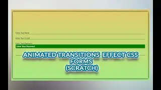 Hover Animated Forms with Input Animations | Web Development | The Quick Code