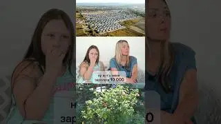 ЗАРАБОТКИ НА ЮГЕ 10тр?. 