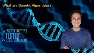 312 - What are genetic algorithms?